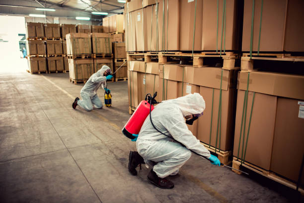 Best Cockroach Control Services  in Jefferson, OR