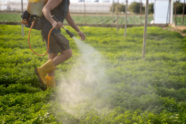 Best Wasp Removal Services  in Jefferson, OR