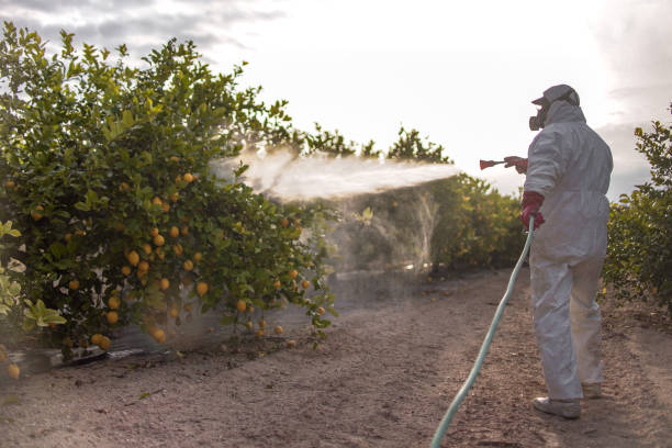 Best Flea Control Services  in Jefferson, OR