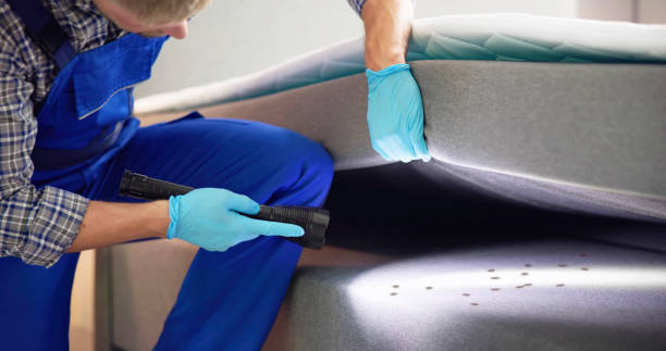 Best Affordable Pest Control Services  in Jefferson, OR