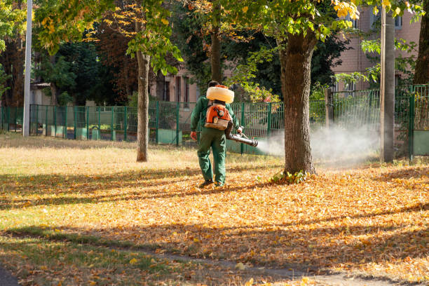 Best Residential Pest Control  in Jefferson, OR