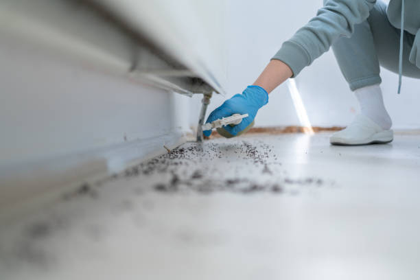 Jefferson, OR Pest Control Company