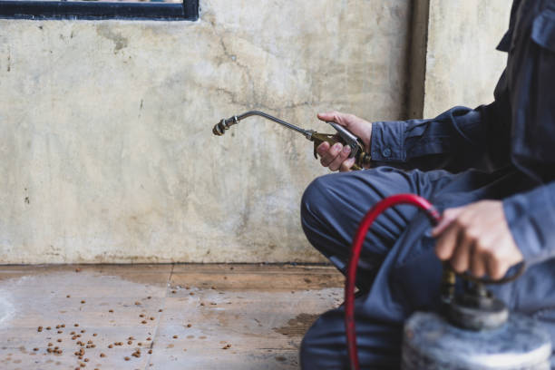 Best Pest Removal Services  in Jefferson, OR