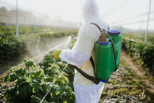 Best Mosquito Control Services  in Jefferson, OR